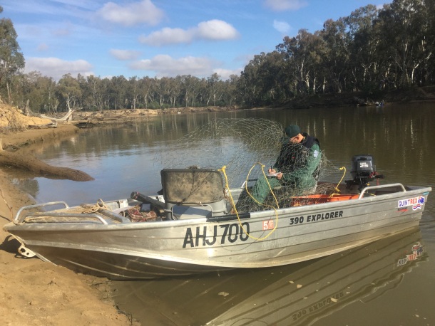 Illegal crayfisher trapped